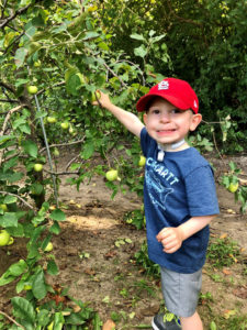 Cardinal Glennon kid Barrett picking apples