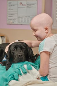 Facility Dog, Thor with a patient