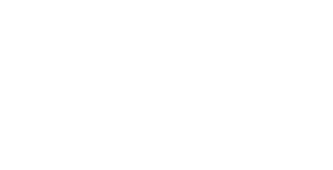 Brown Smith Wallace logo white