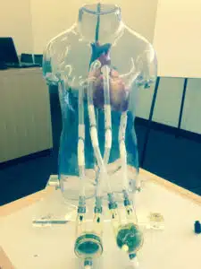 photo of a Berlin Heart connected to transparent mannequin