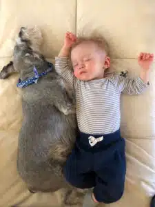 Colten - toddler napping with family dog